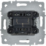 Выключатель 2-клавишный IEK СП BRITE BR-V20-0-10-K91 ВС10-2-0-БрАБ 10А механизм арктич. белый